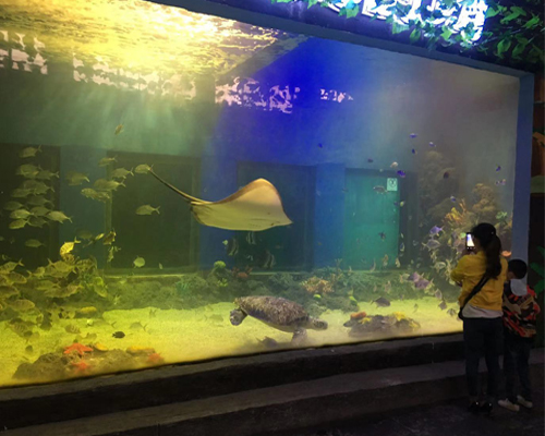 耒阳海贝贝海乐园